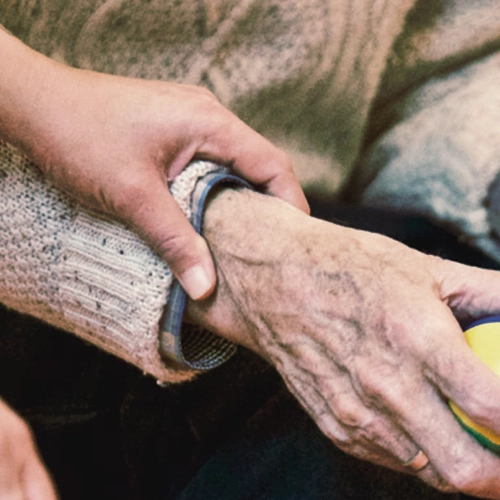 A qui cuides? Persones Grans