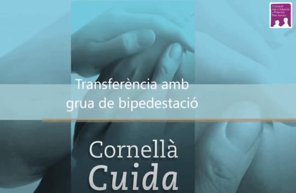 Imatge destacada - Grua de bipedestació
