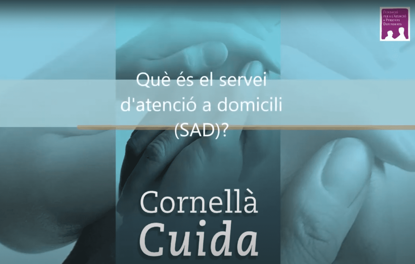 Què és el SAD?