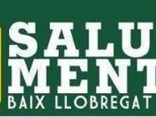 Logo Salut mental Logo Salut mental